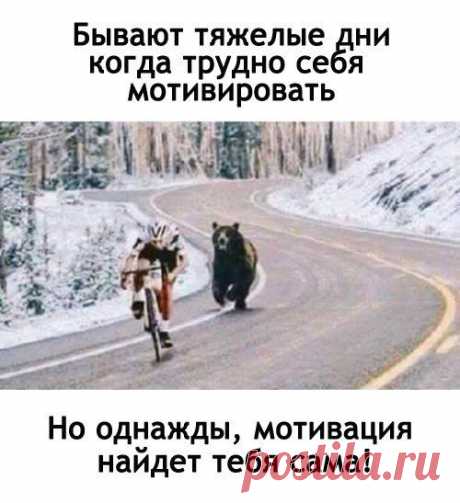 Новые фотографии
