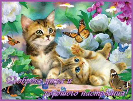 Мой Мир@Mail.Ru