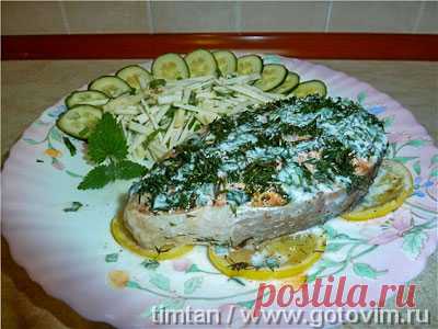 Семга с укропом под соусом из йогурта и мяты. Рецепт с фото / Готовим.РУ