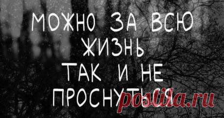 ღ Женская реальность 2023 ღ