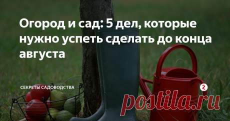 Огород и сад: 5 дел, которые нужно успеть сделать до конца августа Заканчивается лето, но работа на огороде и в саду у заботливого владельца не затихает. Одно из главных правил успешного овощевода и садовода гласит: конец активного плодоношения — не повод отказываться от ухода за посадками. От того, будет ли обеспечен растениям правильный уход, зависит урожай на следующий год. Всё просто: многолетним культурам нужно восстановиться после налива плодов и набраться