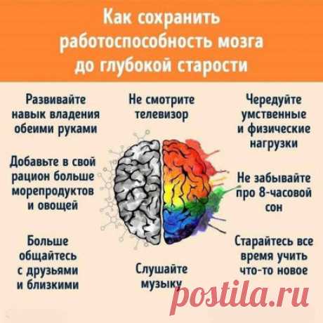(1) Одноклассники