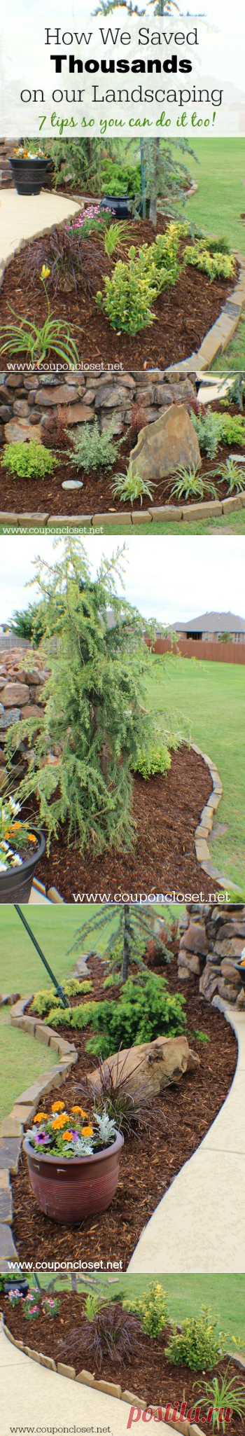 Save on Landscaping - How We Saved Thousands and tips so you can too! - Coupon Closet