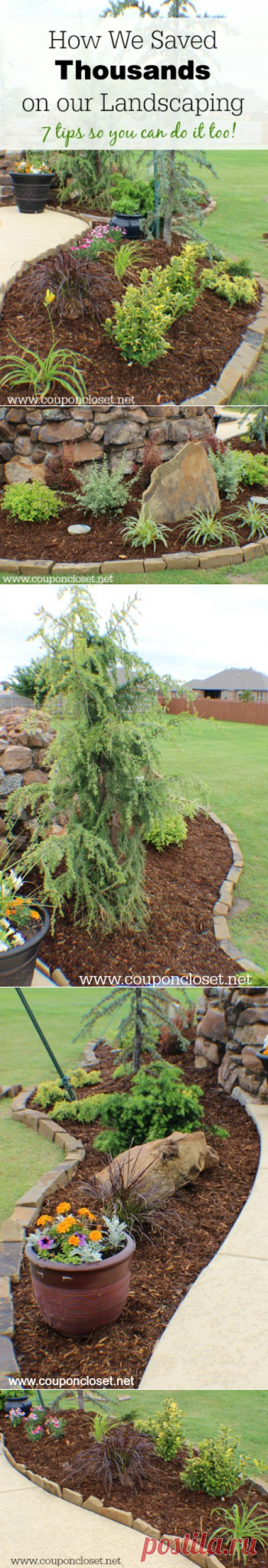 Save on Landscaping - How We Saved Thousands and tips so you can too! - Coupon Closet