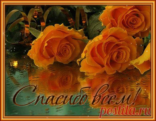 Приложение "Открытки"
Ирина Корсун