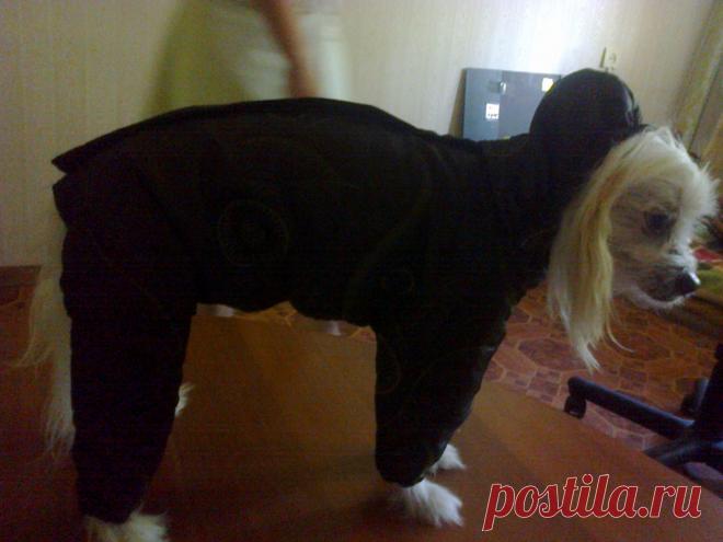 комбинезон зимний