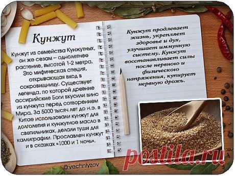 Мой Мир@Mail.Ru