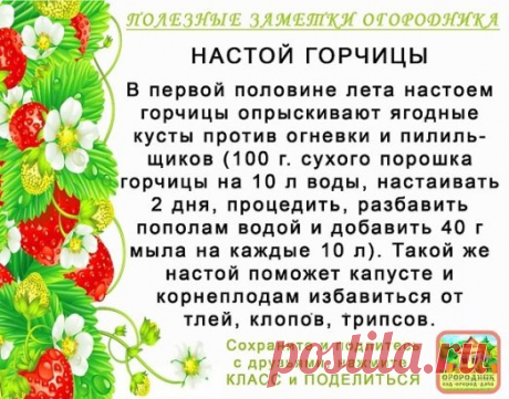 Совет: