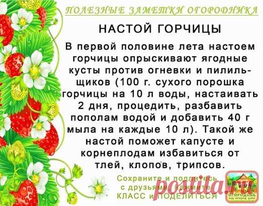 Совет: