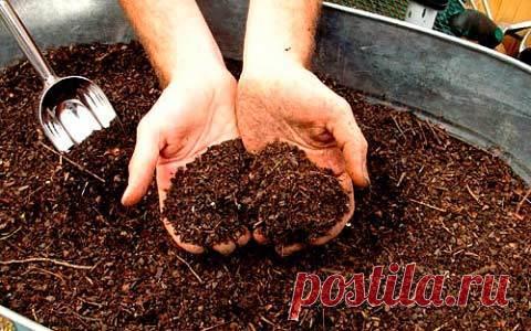 Лучшие удобрения для огородных овощей