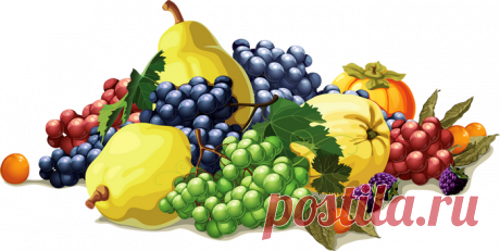 Клипарт Фрукты (вектор)