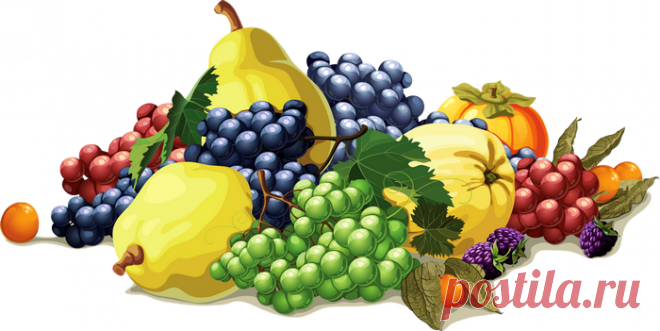 Клипарт Фрукты (вектор)