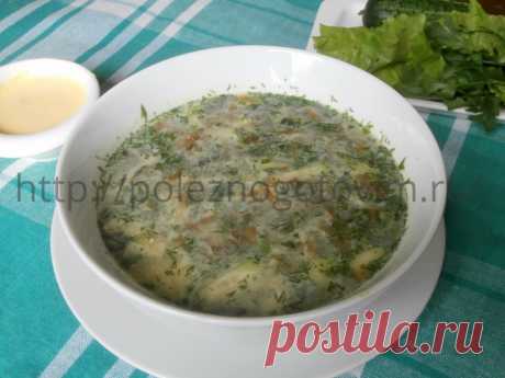 Холодник из щавеля с огурцами и яйцами
Холодник из щавеля - замечательный летний суп. Благодаря щавелю он содержит массу полезных веществ и отлично освежает в жару. Холодник прост по составу и приготовлению.