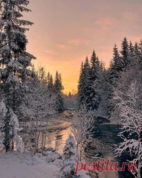 Зимняя сказка ❄

Зимние закаты как отдельный вид прекрасного
Зима – очень душевное время года, потому что чем сильнее морозы, тем теплее друг к другу становимся мы!
Умейте радоваться дням: слезам дождя, закатам солнца, ведь день уйдет и не вернется ... И повезло сегодня нам, что мы смеялись и любили, и даже в том, что просто жили!