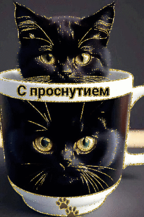 Утро доброе