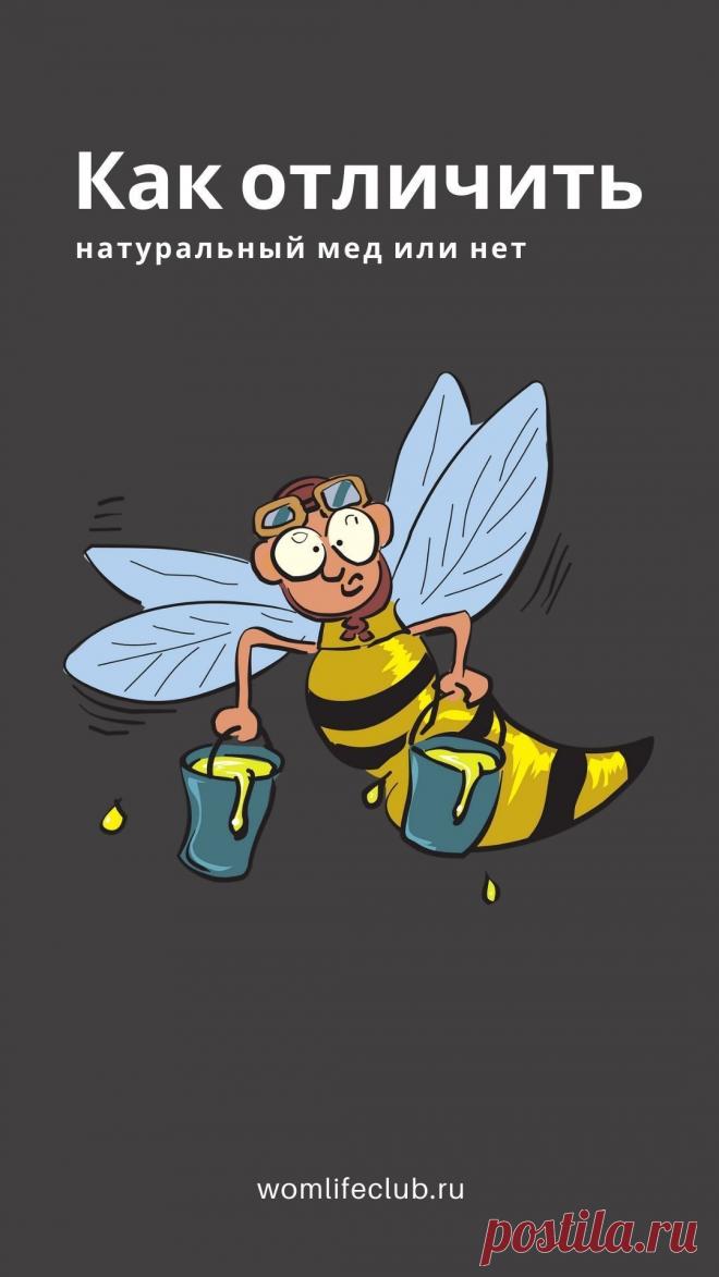 Мед полезные свойства и противопоказания. Состав меда. Мед для детей. Лечебные свойства меда. Как определить натуральный мед. Мазь от царапин и ссадин. #мед #пользамеда #составмеда #противопоказаниямеда #медвместолекарств #натуральныймед #лечебныесвойствамеда #меддлядетей #wom_здоровье #вомлайф #вомлайфклаб #womlifeclub