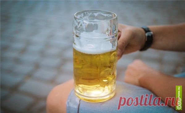 Без пива и водки: Роспотребнадзор приостановил ввоз алкоголя из Украины - Новости - Properm.ru