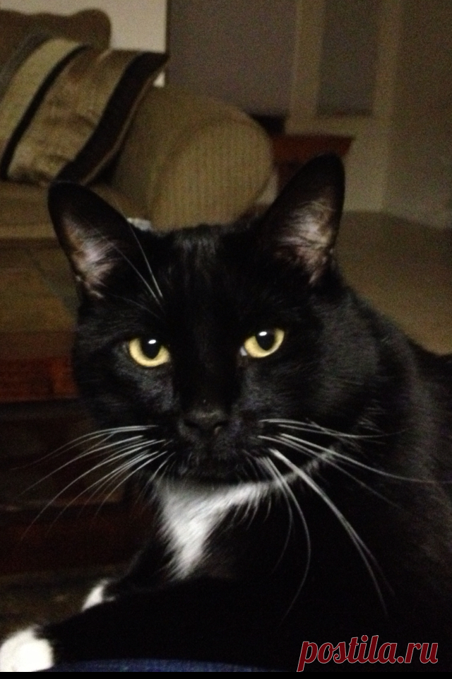 2c7bf2df1ee666d06b25f93770fc00c1.jpg (640×960)