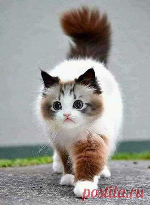 (20+) Carmo Martins | Facebook