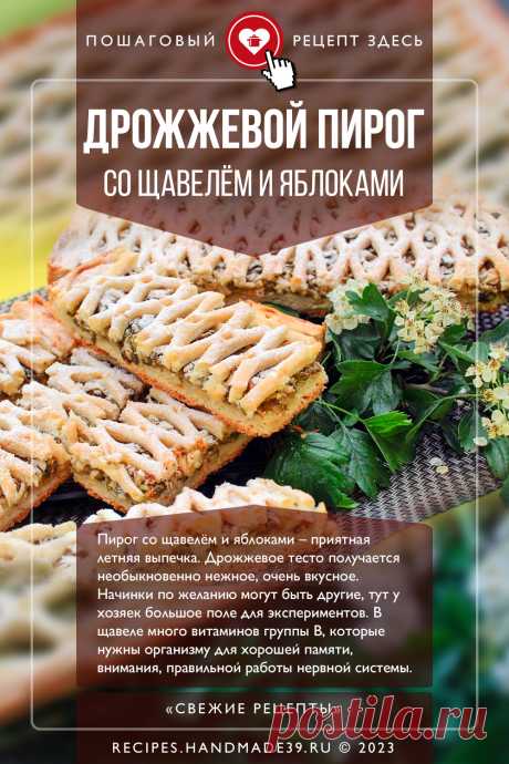 Дрожжевой пирог со щавелём и яблоками. Пошаговый рецепт с фото приготовления дрожжевого пирога со щавелём и яблоками. Выпечка со щавелем. Дрожжевое тесто. Пироги. #свежиерецепты #рецепт #пирог #выпечка #щавель #пироги
