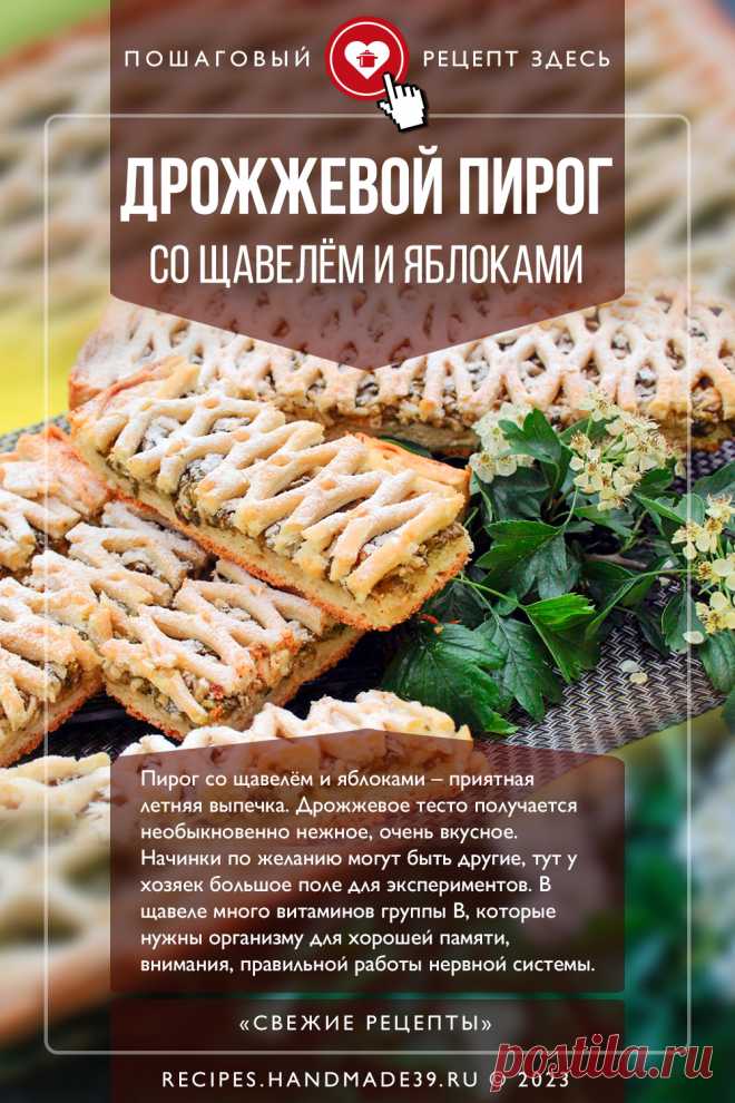 Дрожжевой пирог со щавелём и яблоками. Пошаговый рецепт с фото приготовления дрожжевого пирога со щавелём и яблоками. Выпечка со щавелем. Дрожжевое тесто. Пироги. #свежиерецепты #рецепт #пирог #выпечка #щавель #пироги