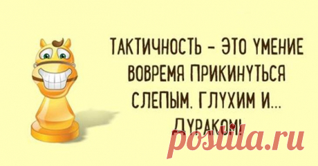 Крутые анекдоты для поднятия настроения