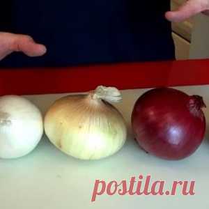 Большинство людей не знают, что можно делать с разными видами лука. А Вы? - МирТесен
