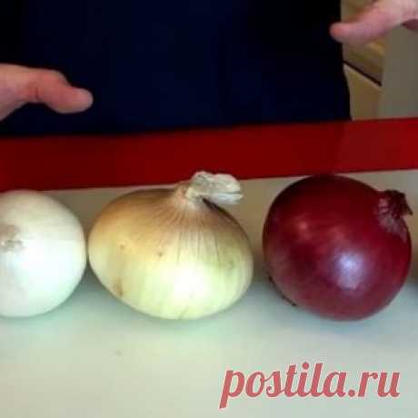 Большинство людей не знают, что можно делать с разными видами лука. А Вы? - МирТесен