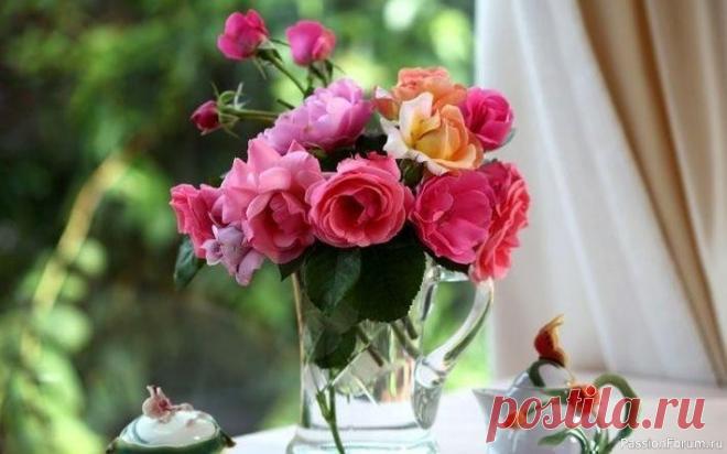 8 столетних лайфхаков, которые актуальны и сегодня Эти простые приемы были придуманы еще лет сто тому назад, но остаются актуальными даже сейчас. Советы, проверенные поколениями — это не простые выдумки, которые можно встретить на просторах интернета. Мудрость нужно использовать, тогда и все дела будут выполняться легче и гораздо...