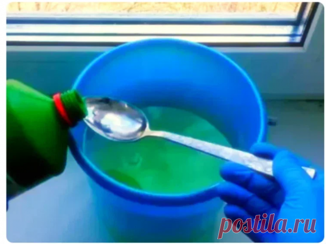 Подоконники и окна у меня всегда сверкают белизной. Делюсь 3-мя своими копеечными средствами для их чистки | Евгения Медведева | Яндекс Дзен