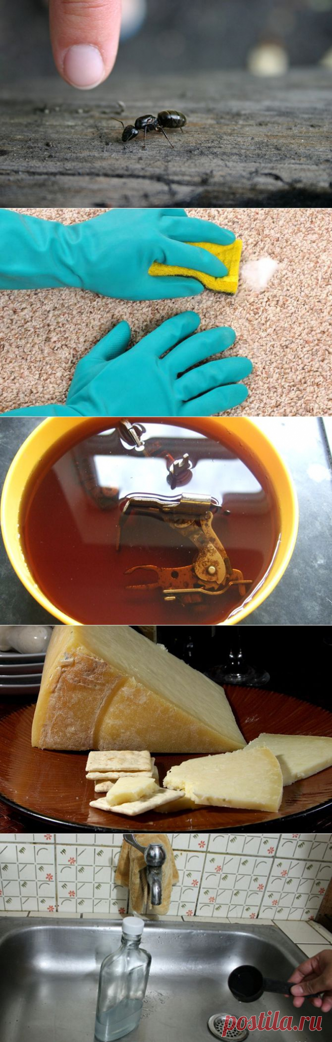 Скрытые резервы уксуса — Мой дом