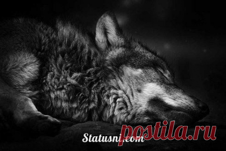 Наступает момент, когда понимаешь, что зря пустил кого-то в свою жизнь. Этому человеку ты не нужен, просто ему не с кем было провести время.