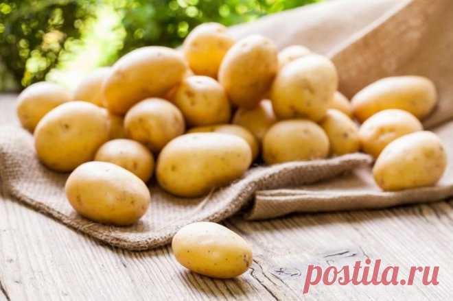 Продукты которые боятся холодильниа Придя домой с пакетами продуктов, большинство из нас безжалостно отправляют их в холодильник, даже не подозревая о том, что для некоторых видов овощей и фруктов, а также другой пищи это высшая мера на...