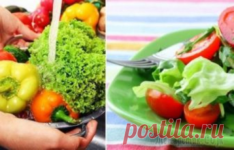 Как защитить себя от нитратов, если организм настойчиво требует свежих овощей Чем ближе к лету, тем сильнее хочется свежих овощей и фруктов. Прилавки со свежей зеленью, капустой, редисом и молодой картошечкой как рукой снимают весеннюю хандру и авитаминоз. Привычная мысль о том...