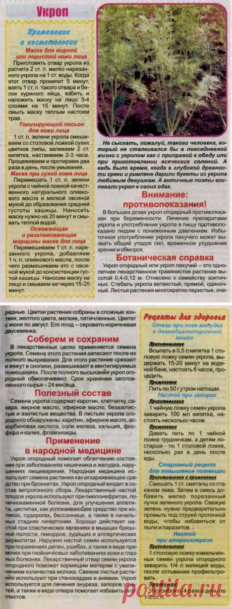 Укроп
