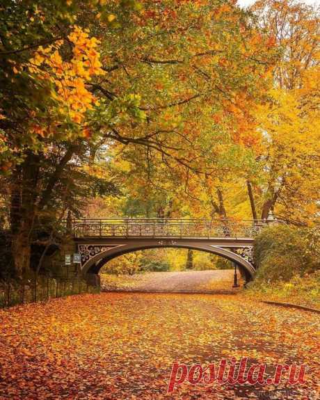 Pinterest