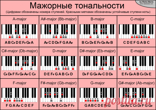 Музыкальные шпаргалки |