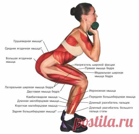 Причины чаще приседать