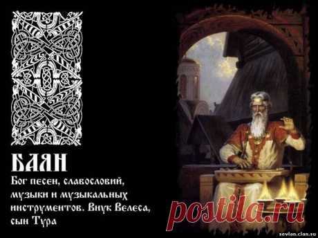 РАСА