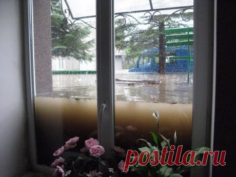 Пожалуй, лучшая реклама окон