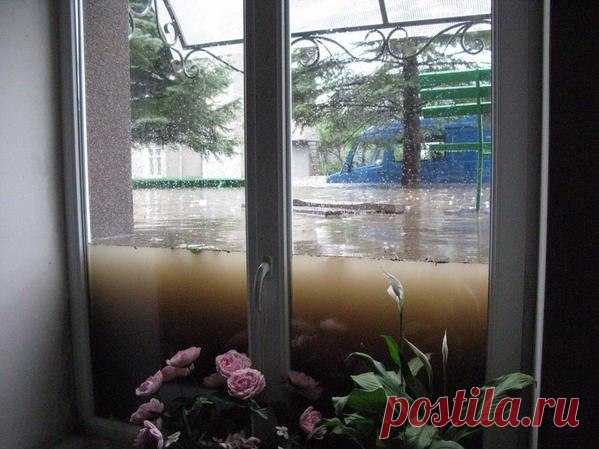 Пожалуй, лучшая реклама окон