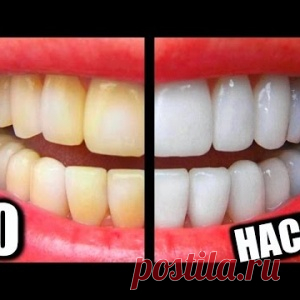 Новости - МирТесен