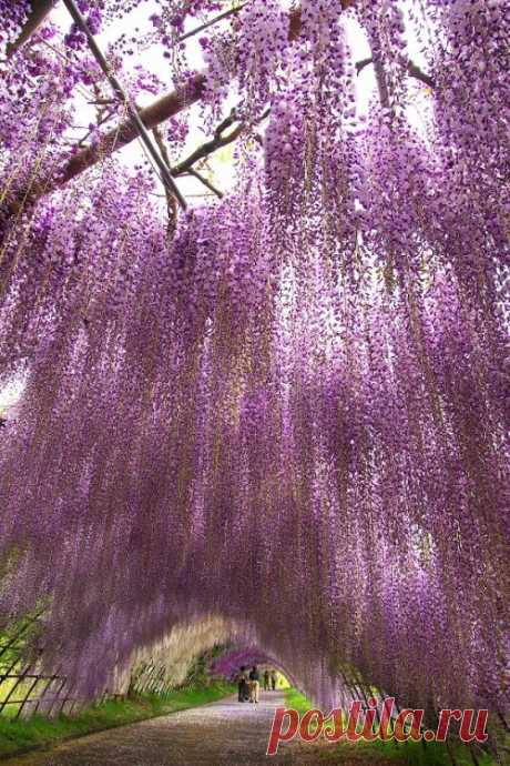 colour my world