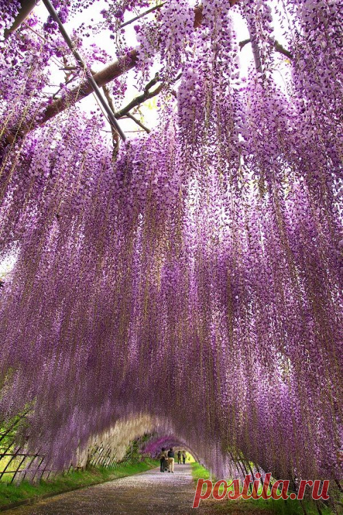 colour my world