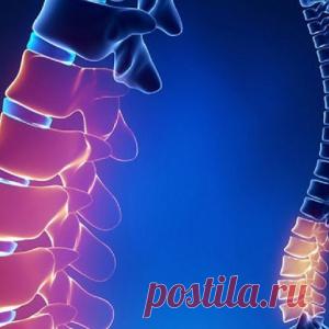 Упражнение «Крокодил» — избавит от врожденных и приобретенных нарушений позвоночника! - МирТесен