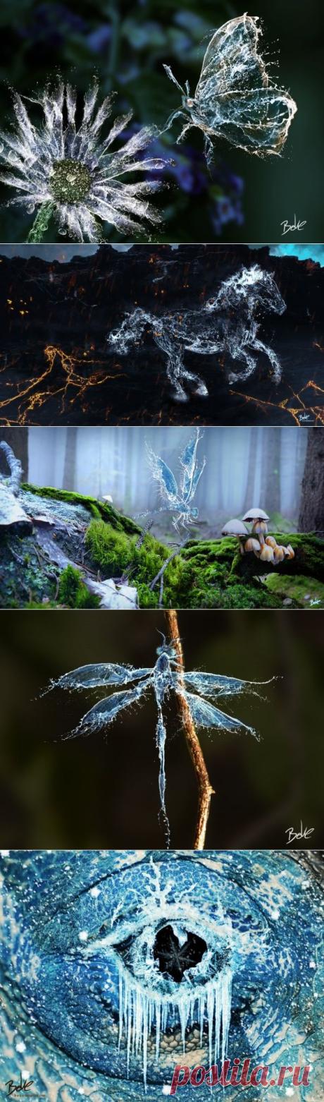 Живой лед на фотографиях B-O-K-E - Немецкий фотограф и художник