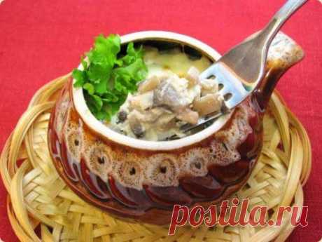 Жюльен с курицей: 7 рецептов / Простые рецепты