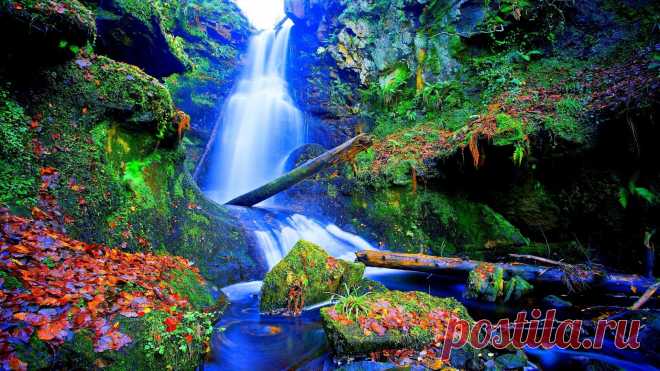водопады обои: 6 тыс изображений найдено в Яндекс.Картинках