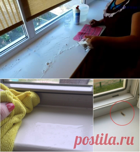 Как отбелить пожелтевшие пластиковые окна. Старые рамы засияют белизной