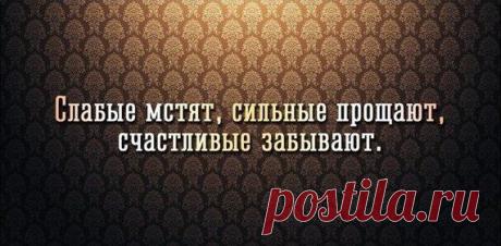 Наталья Погодина